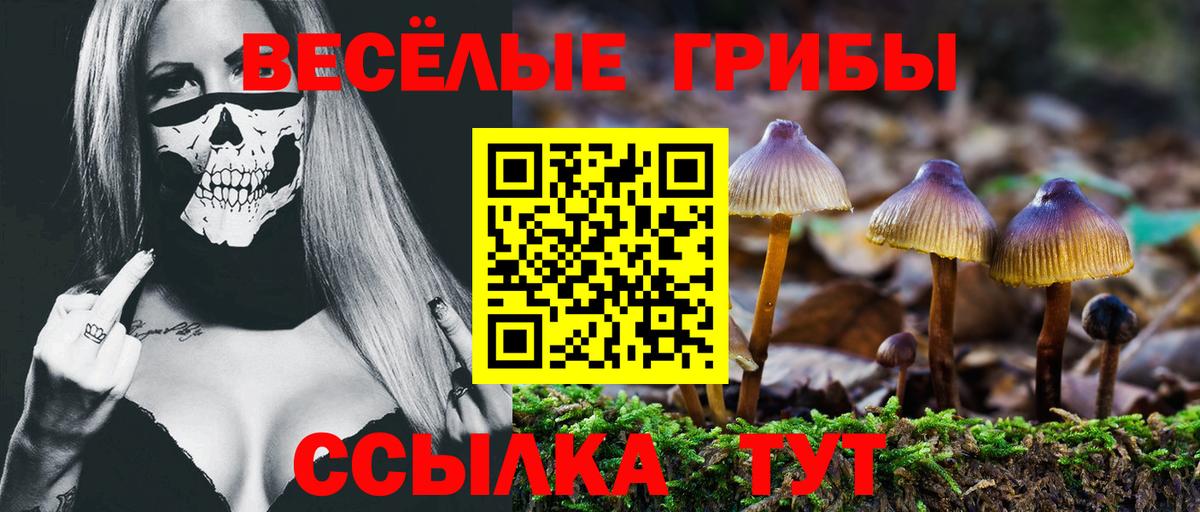 Псилоцибиновые грибы ЛСД Россия