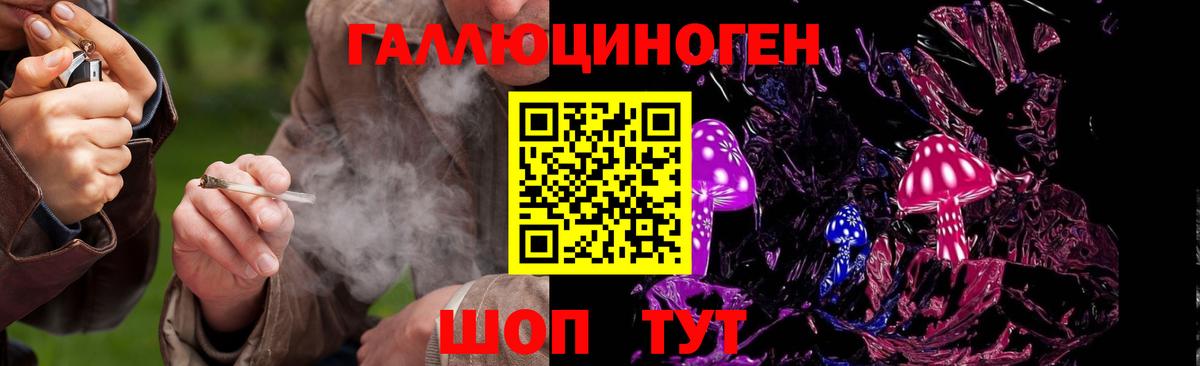 Галлюциногенные грибы Cubensis  Вход с VPN  Россия 